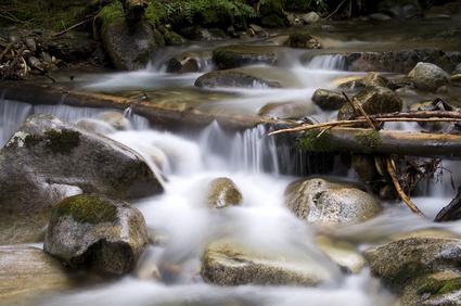 Les sites et territoires protégés du parc Balgarka
